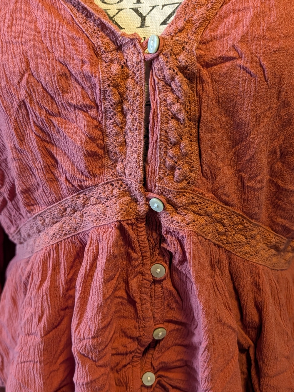 American Eagle Outfitters Rust Button-Front Peplum Blouse - Picture 4 of 7